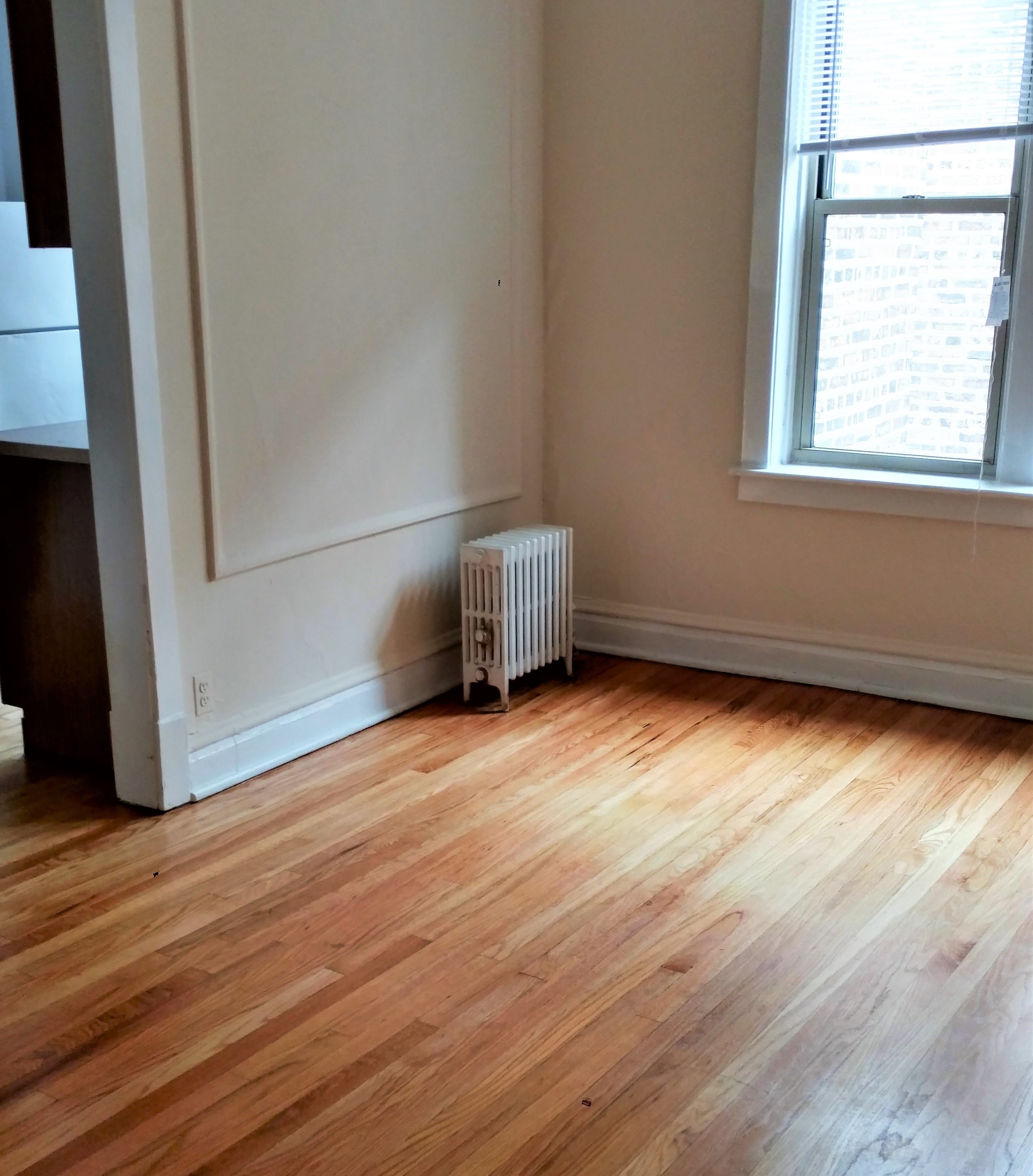 Image of  1031 W North Shore #3N
