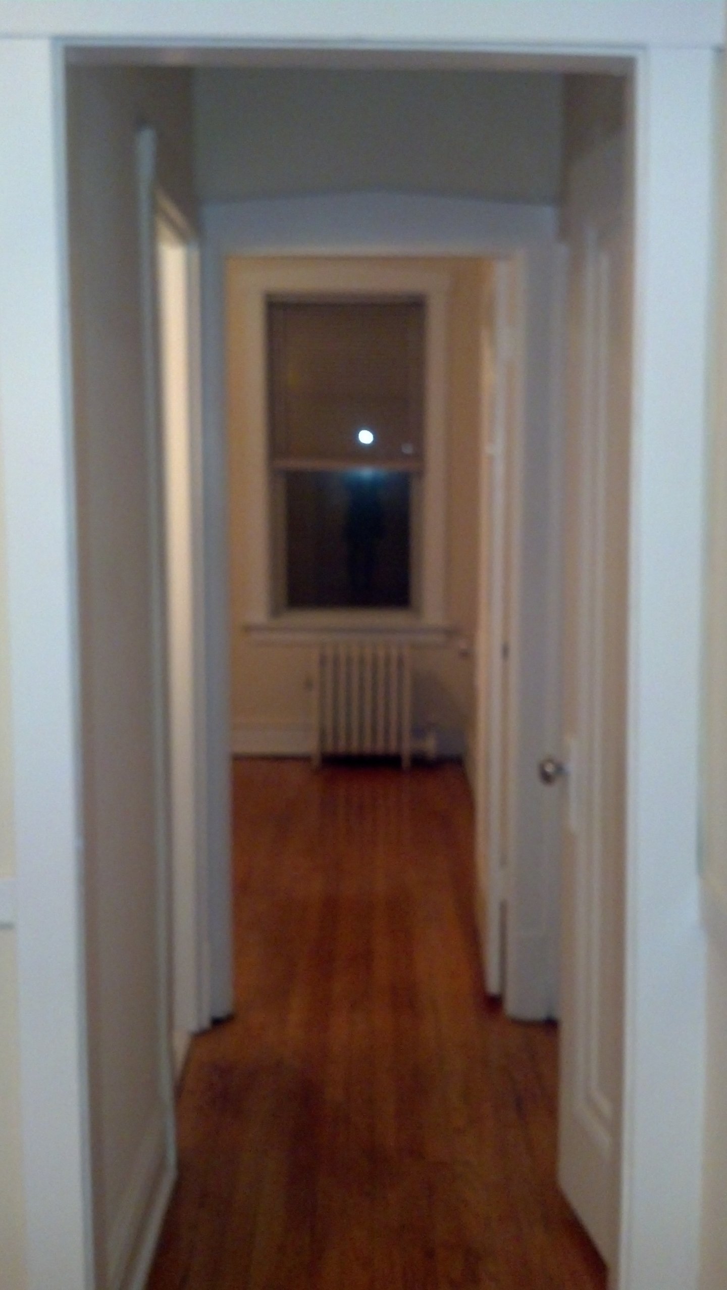 Image of  1035 W North Shore #3W