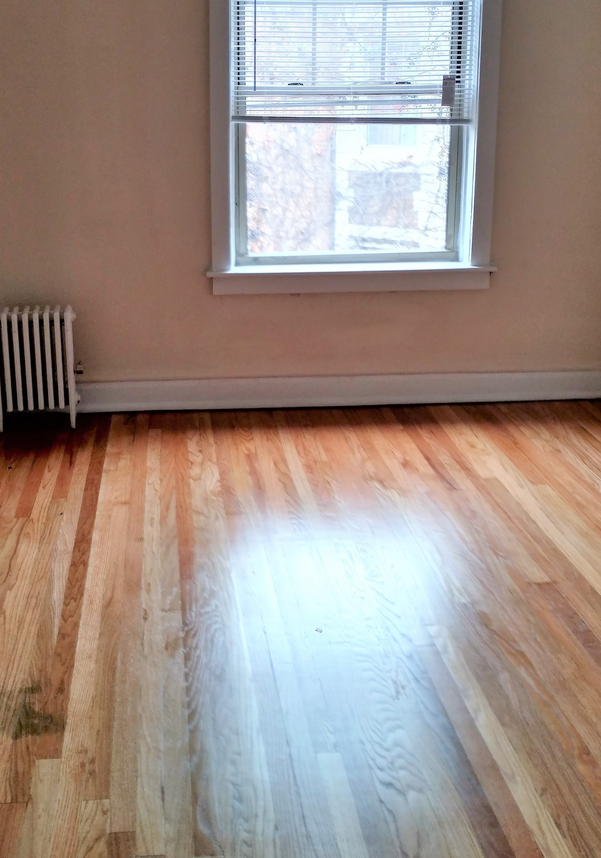 Image of  1041 W North Shore #3S