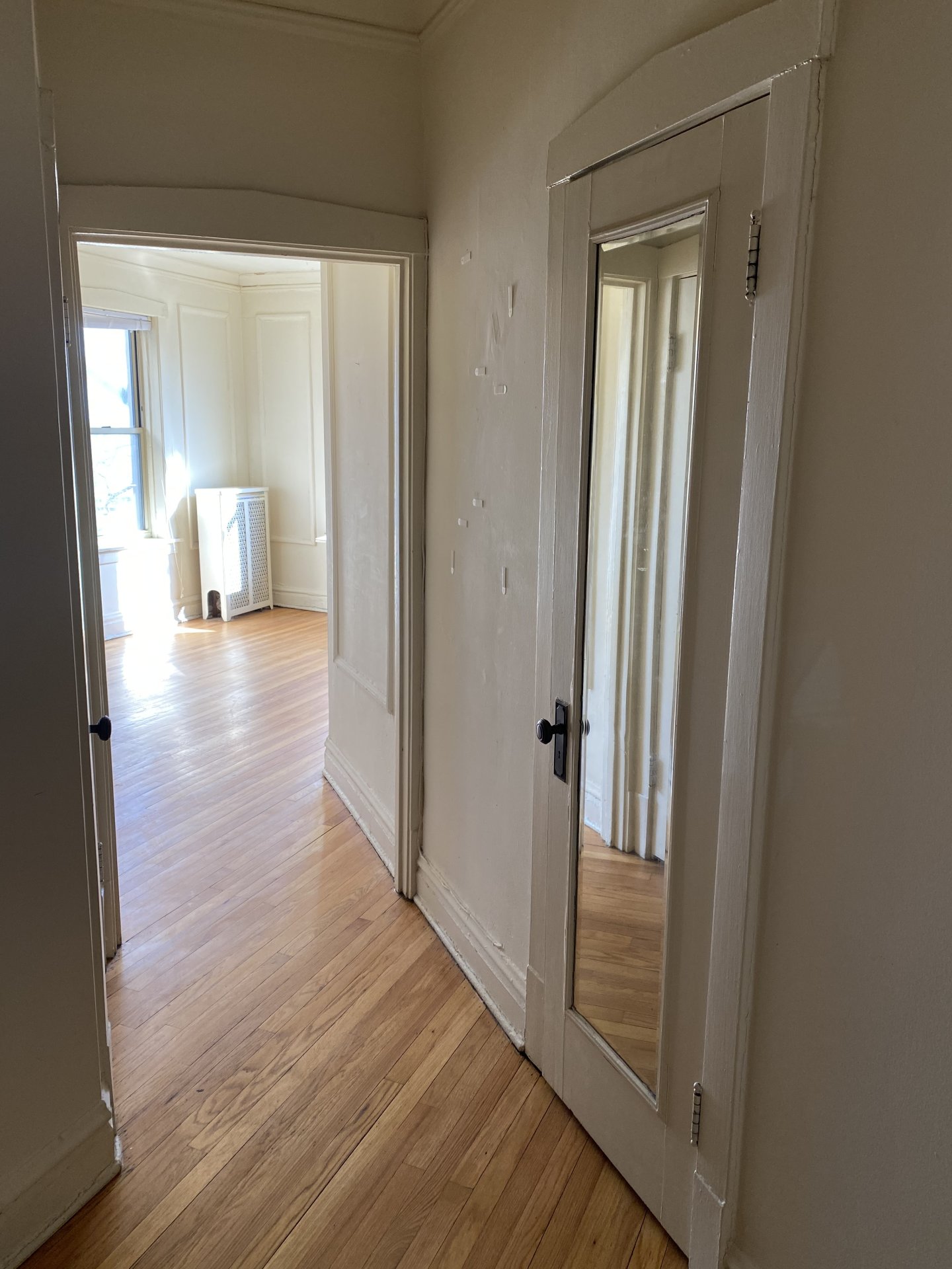 Image of  1043 W North Shore #3S