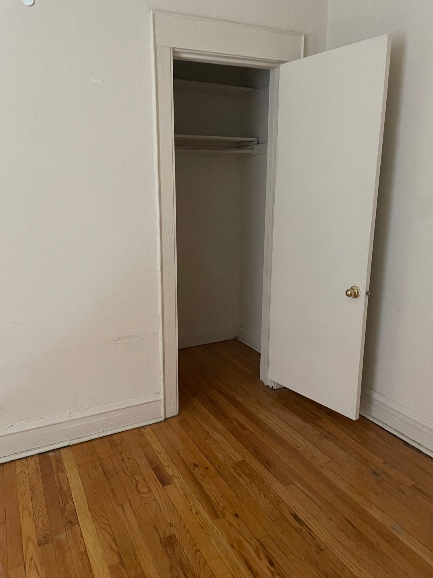 Image of  1205 W Waveland #2
