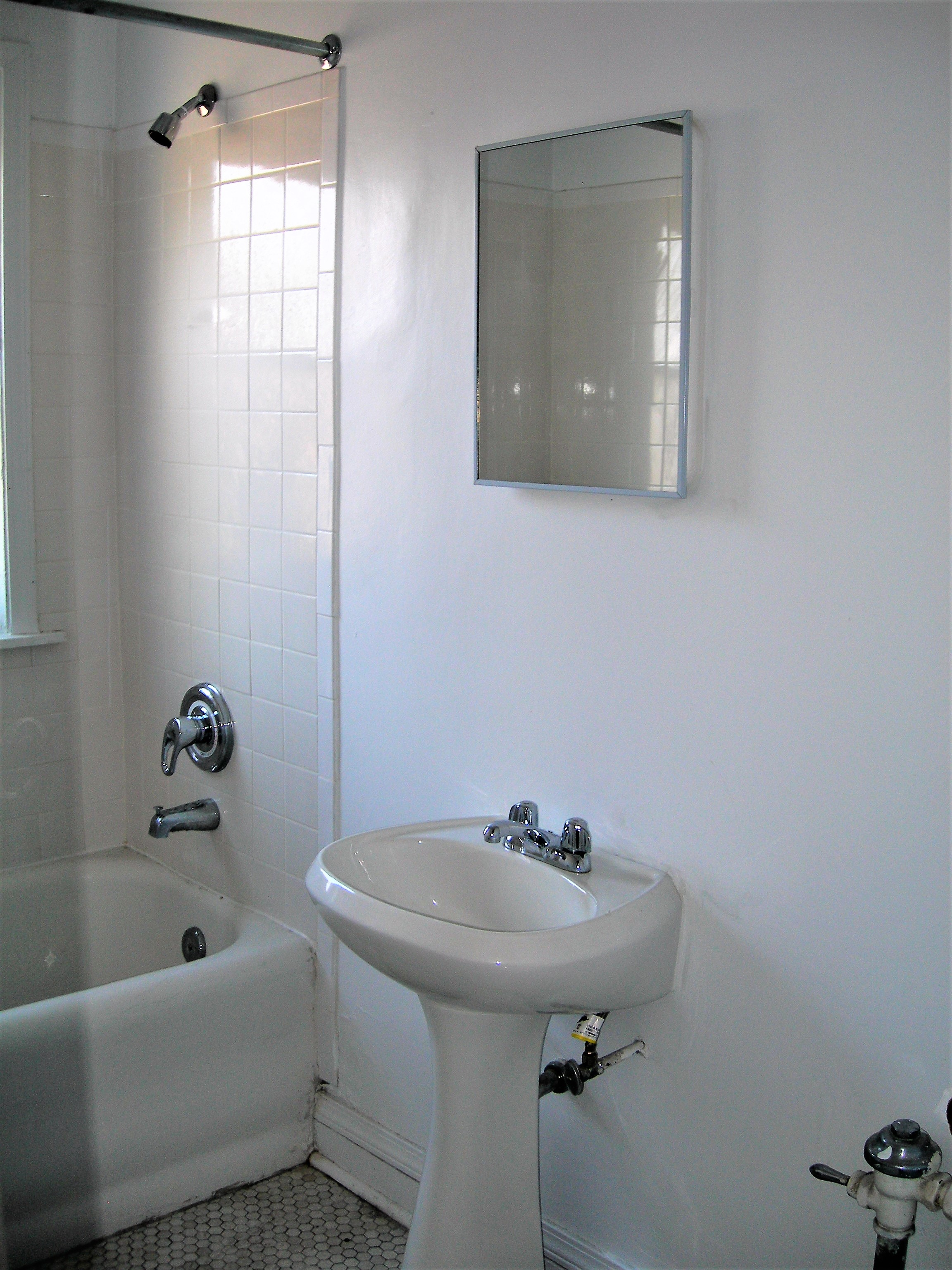 Image of  6536 N Lakewood #9