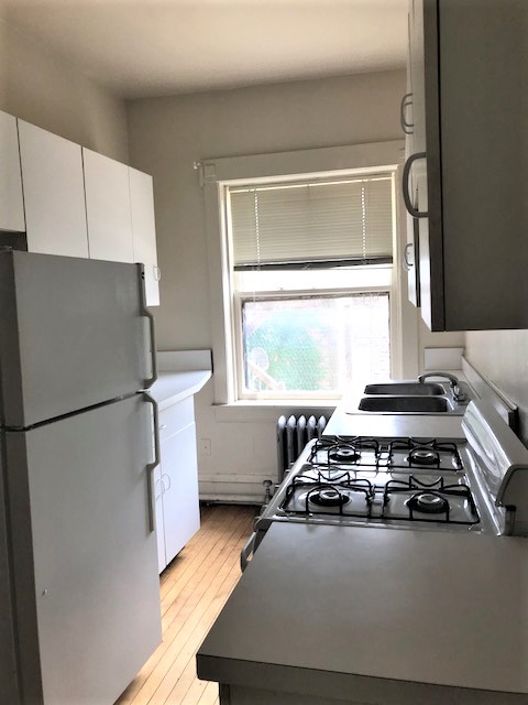 Image of  1535 W Cornelia #2