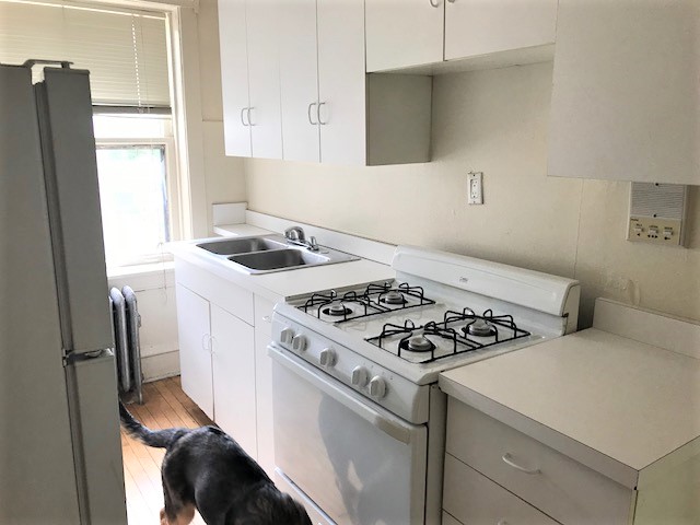 Image of  1535 W Cornelia #2