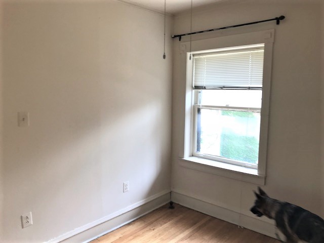 Image of  1535 W Cornelia #2