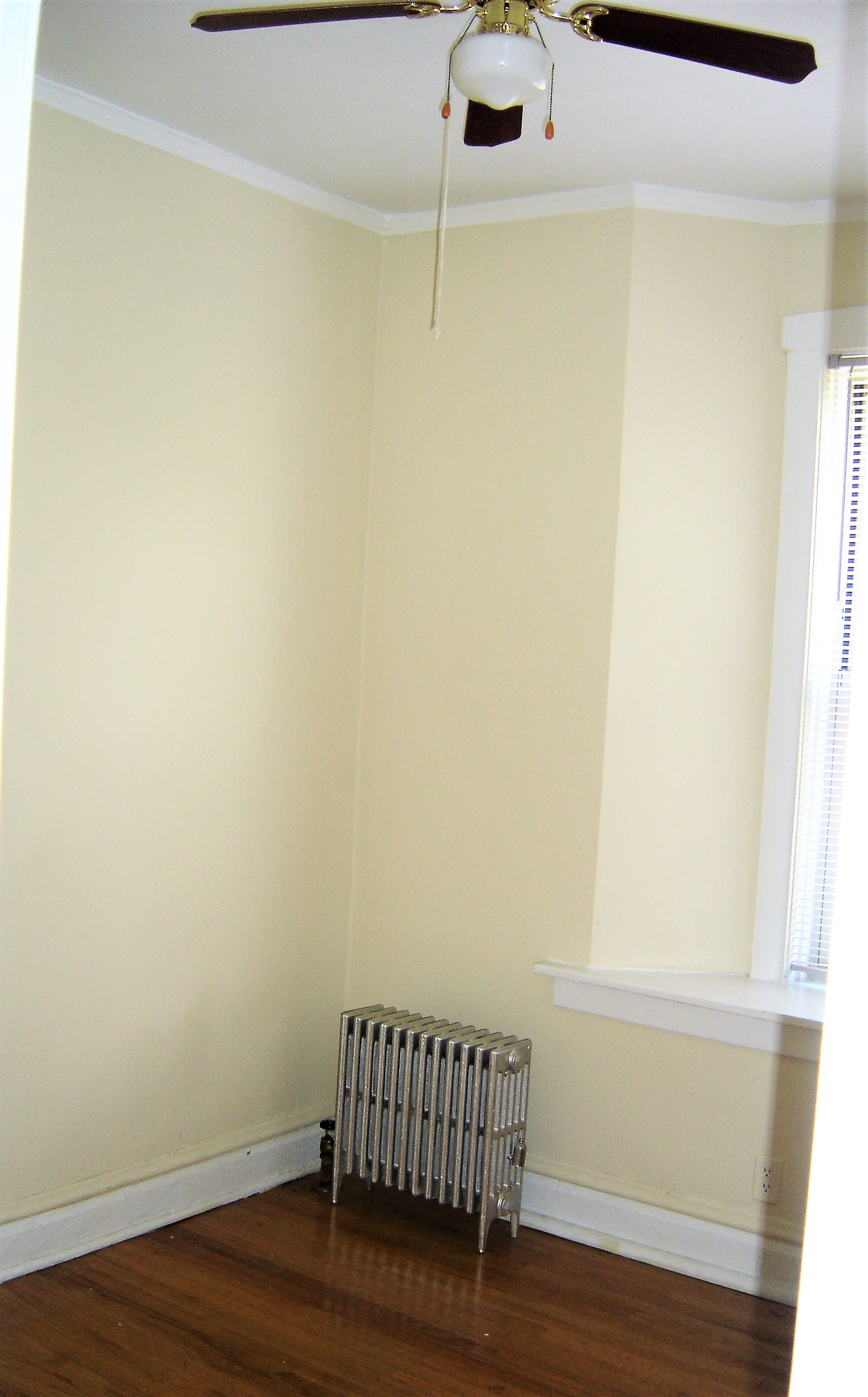 Image of  1039 W North Shore #3W