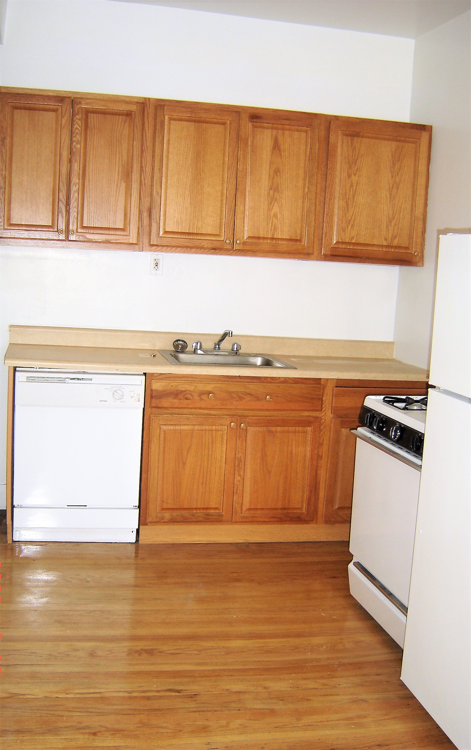Image of  1039 W North Shore #3W